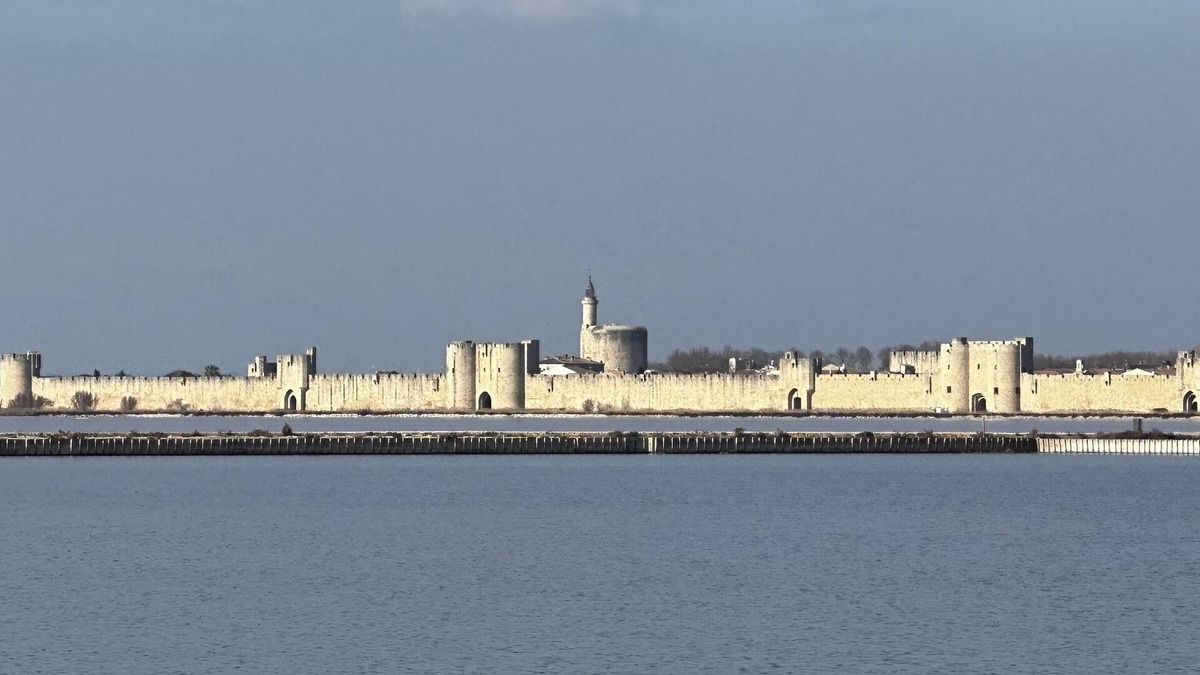 Aigues-Mortes House | Very close to the medieval city of Aigues-Mortes, marina, with swimming pool