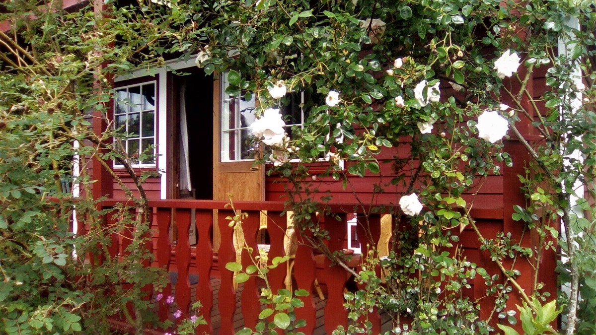 Brekendorf House | Very cozy Scandinavian log house in a quiet location on a large plot