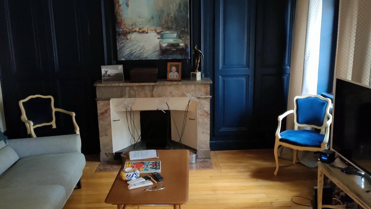 Villefranche-sur-Saone Apartment | very nice apartment downtown