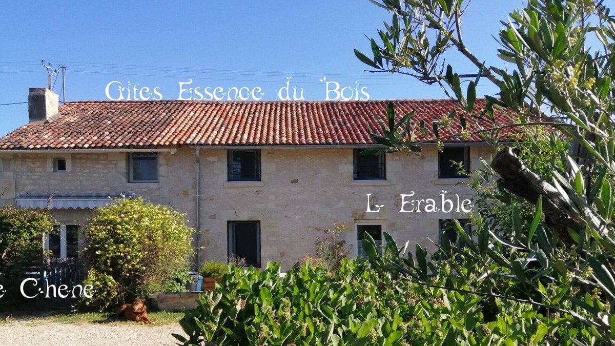 Vendeuvre-du-Poitou Cottage | Very nice gîte for 10 people 8 mins from Futuroscope