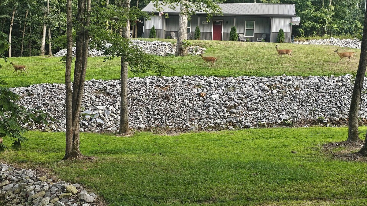 Kuttawa House | Very nice home minutes from the water in peaceful setting