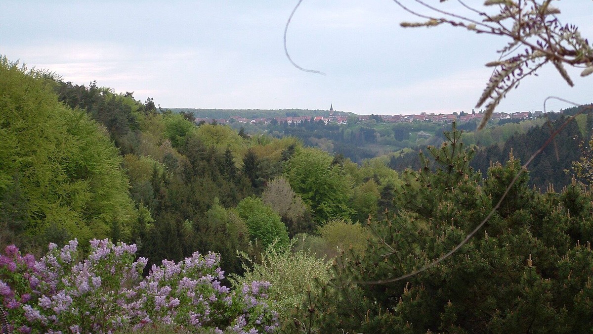 Lambach House | Very pleasant well equipped gîte for 12 in the heart of the northern Vosges