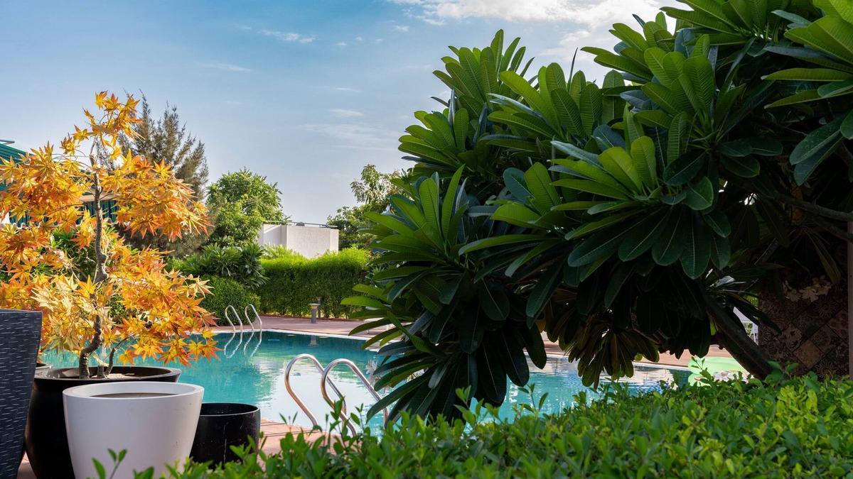 Village Hokra Hotel | Vesta Avtar Resort Pushkar