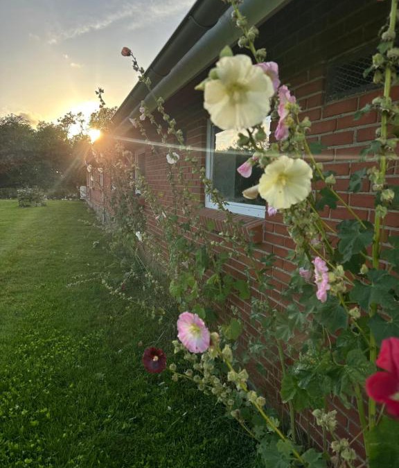 Morsø Municipality Bed & Breakfast | Vestervang bed and NO breakfast