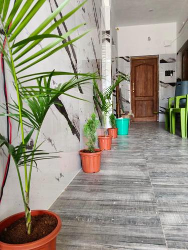 Courtallam House | Vhomes