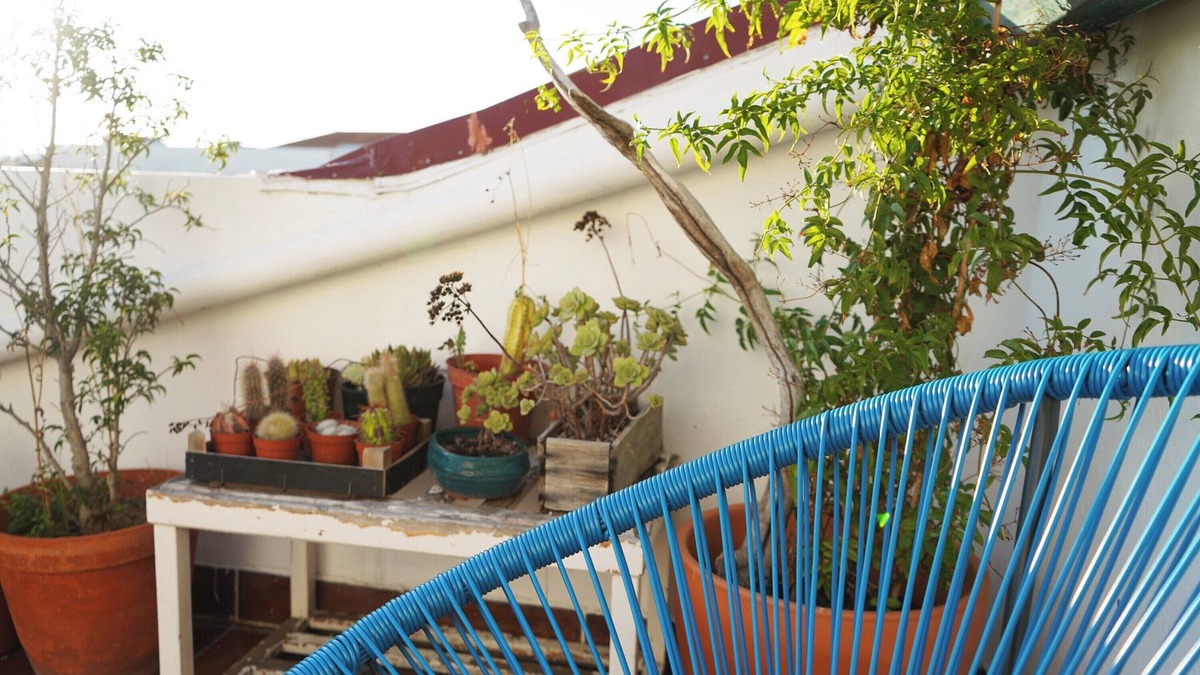 Aveiro House | VIC Aveiro Arts House