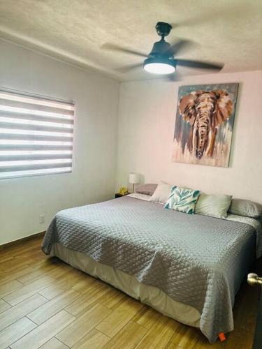 Guadalajara Municipality Apartment | Vico rose