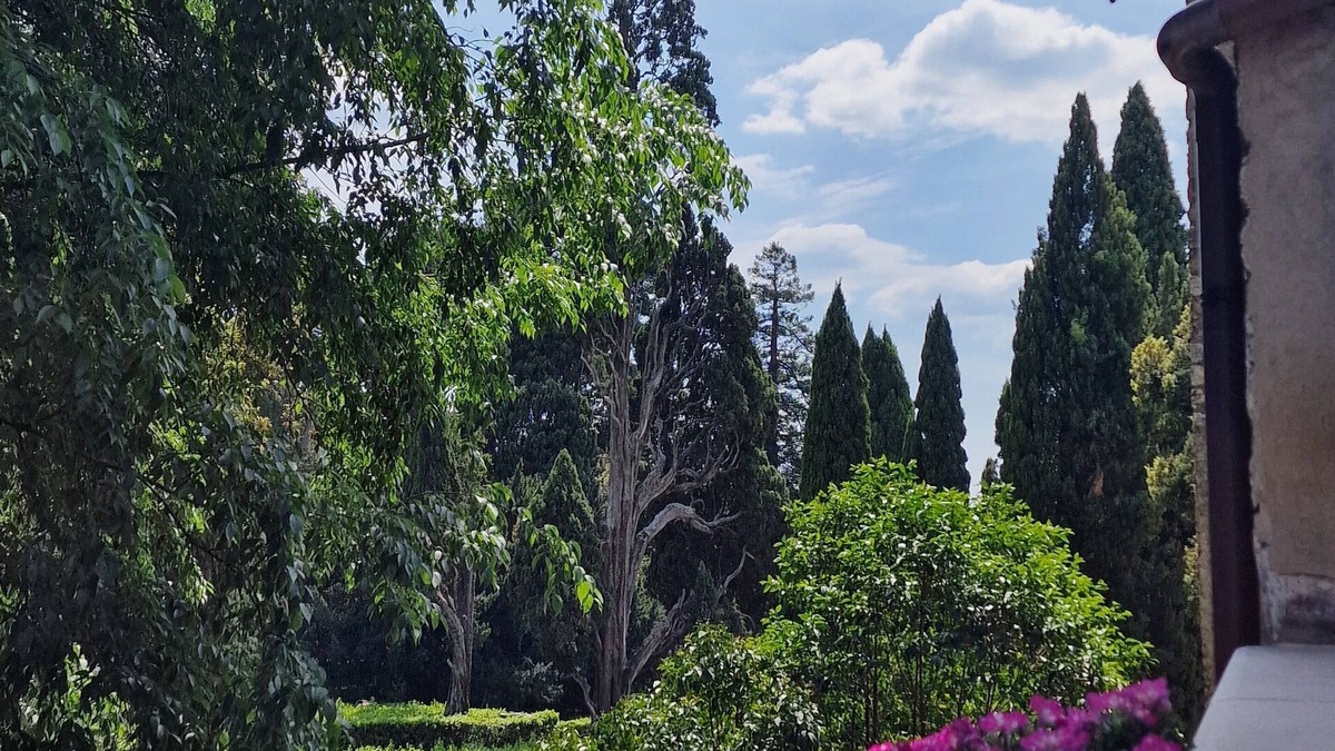Tivoli Apartment | Vicolo d'Este