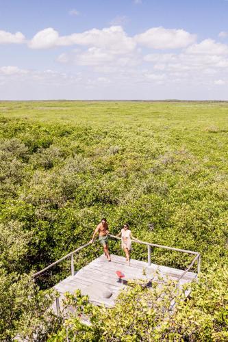 Zona Hotelera Cabin | Vida Silvestre