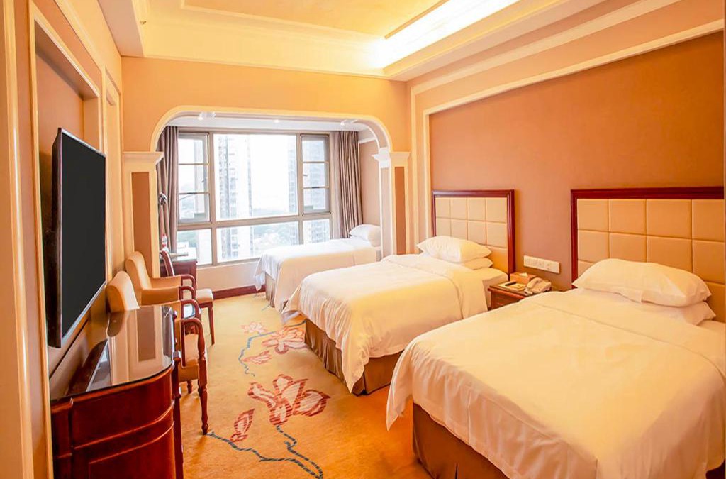 Lougang Hotel | Vienna Hotel Shenzhen Songgang Liye Road