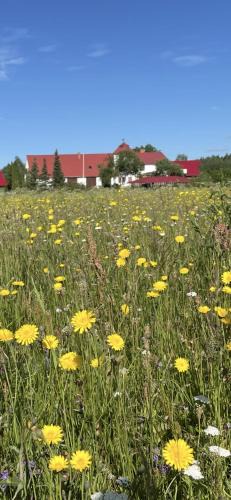 Aluksne Municipality House | Viesu māja Bitītes