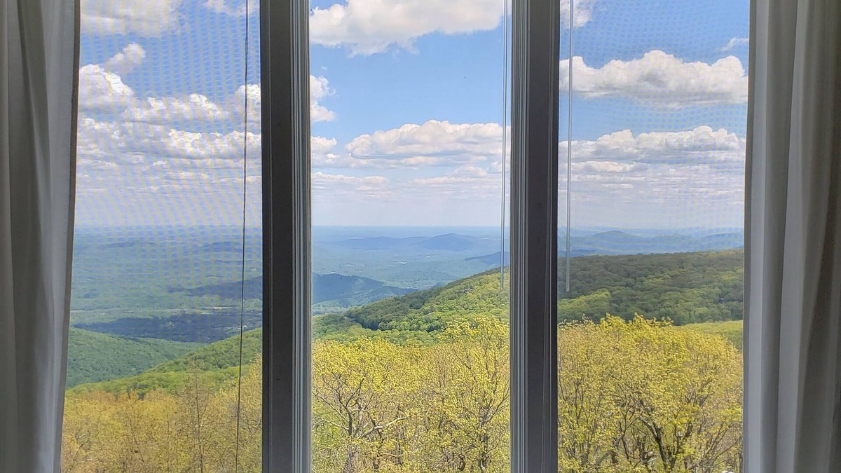 Chestnut Springs Condo | View from the Top