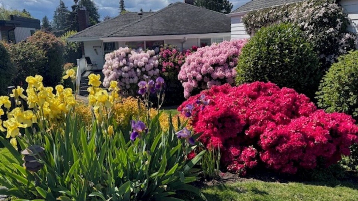 Endolyne House | View Home - West Seattle, 31 day min., Puget Sound, Parks & Bus/Ferry Close By
