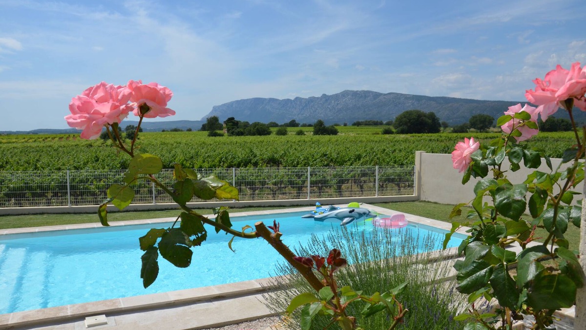 Pourrieres Villa | View Sainte Victoire, large new apartment with swimming pool near Aix-en-Provence