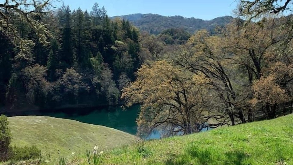 Ukiah Cottage | VIEWS! Last Minute/Longer Stay SPECIALS!