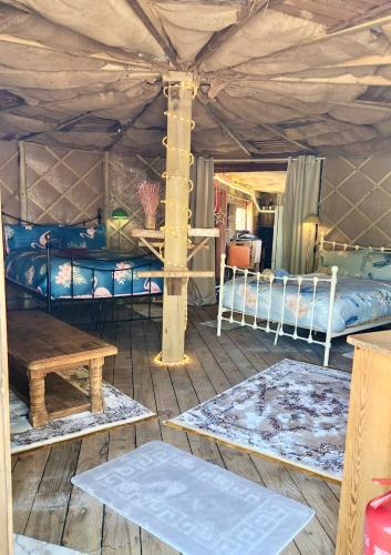 Fairseat Bed & Breakfast | Vigo Retreat Boat yurt