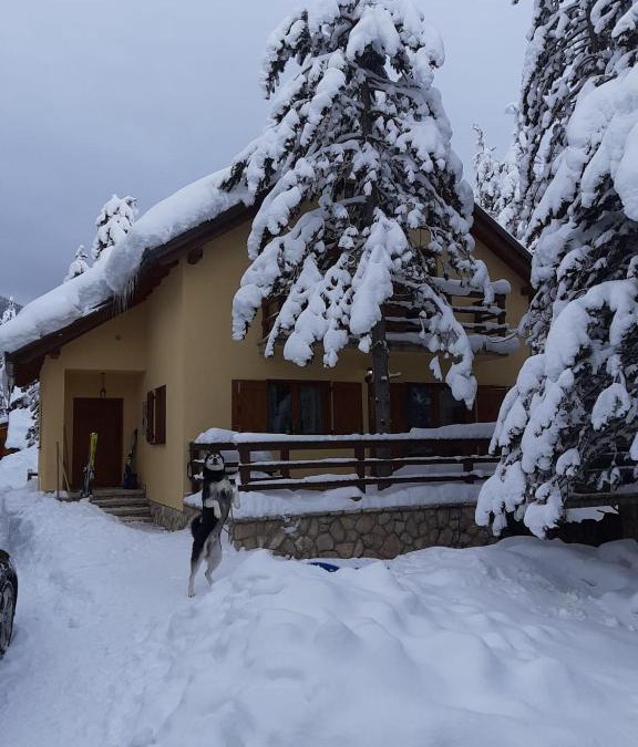 Risovac House | Vikendica Vil