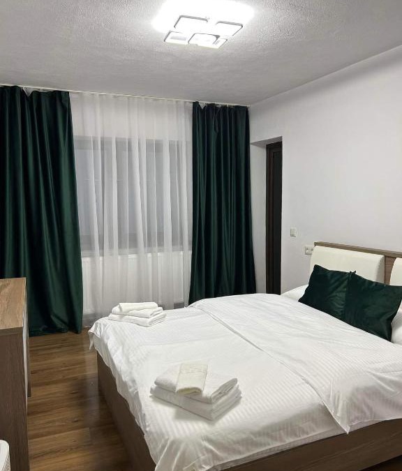 Valiug Villa | Vila AliBi Valiug - 200m from Ponton Casa Baraj