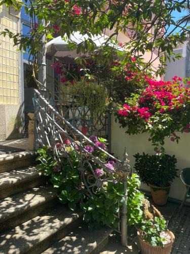 Paranhos Bed & Breakfast | Vila Camélia
