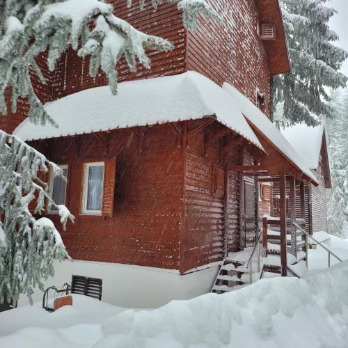 Vartop House | VILA DARIA