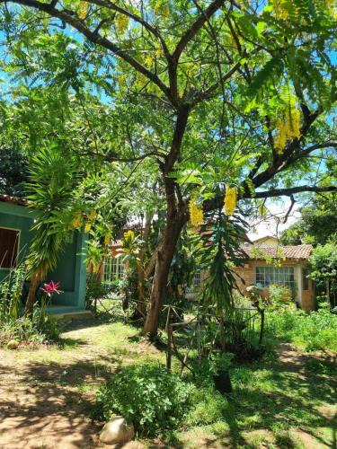 Pati Valley House | Vila das Acácias