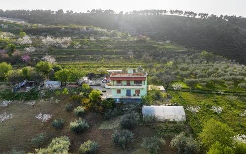 Berat Apartment | Vila Dean