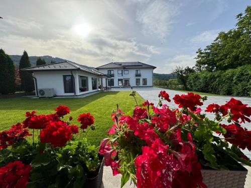 Sovata Bed & Breakfast | Vila Diamond Lux&Spa