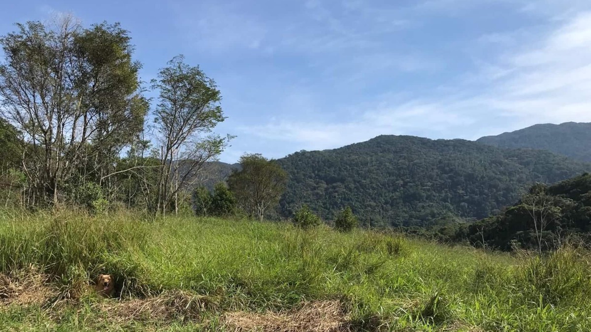 Iporanga Villa | Vila Dravida