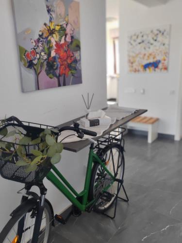 Deva Villa | Vila Green by Plaiul GreenBike
