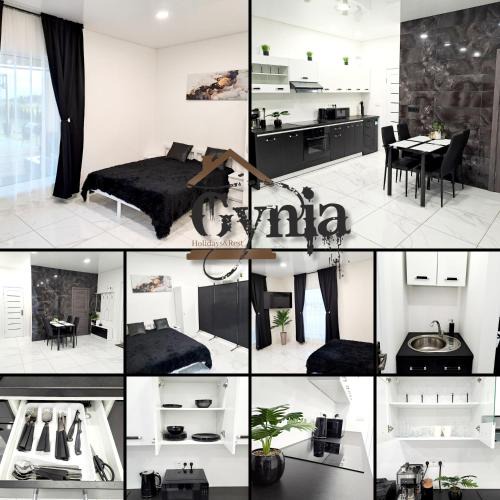Kaunas County Villa | Vila Gynia