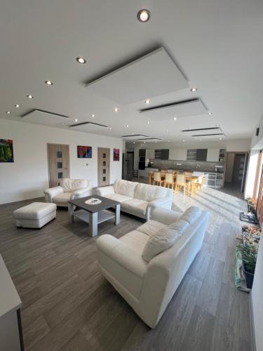 Kostany nad Turcom House | Vila Izabella