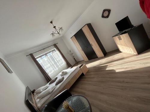 Sebes House | Vila Lion