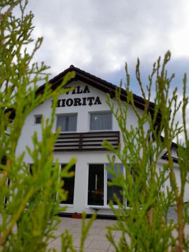 Sasciori House | Vila Miorita