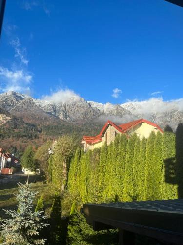 Poiana Tapului Villa | Vila Miro Monte