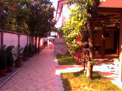 Costinesti House | Vila Popoiu