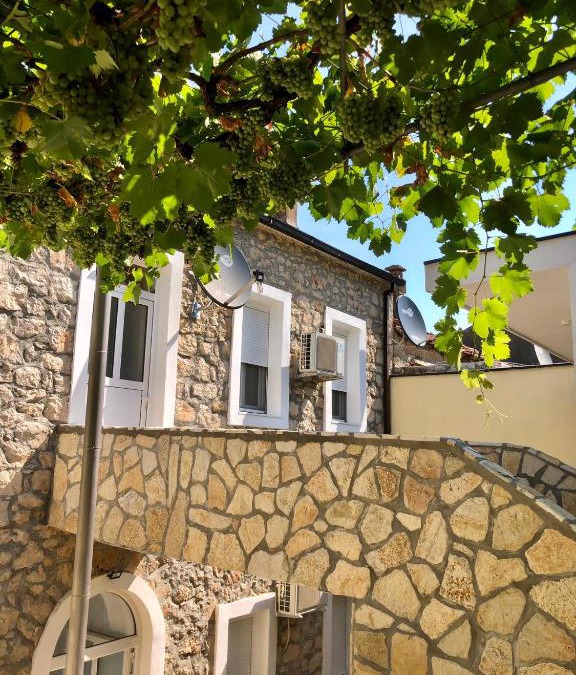 Danilovgrad Bed & Breakfast | Vila Razic