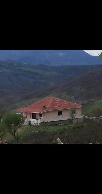 Elbasan Villa | Vila Redi