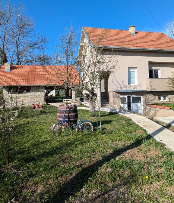 Inija House | Vila Restart Čortanovci
