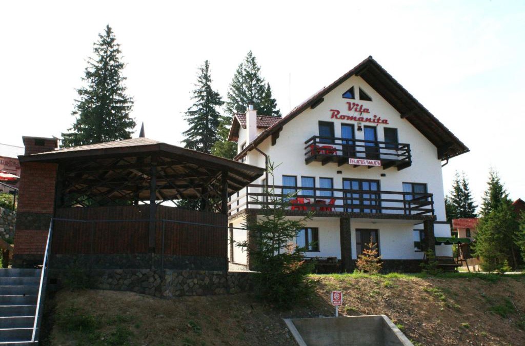Paltinis House | Vila Romanita