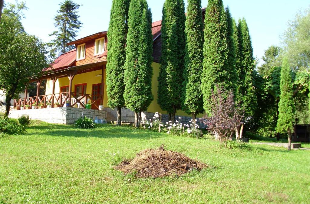 Dumbravita House | Vila Roseta