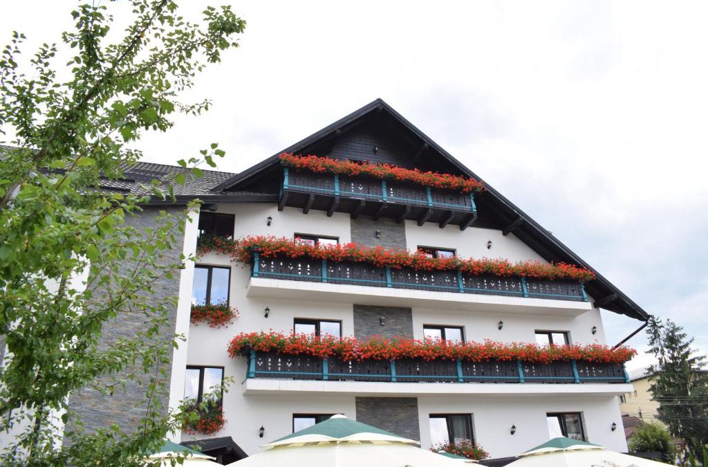 Vatra Dornei Hotel | Vila Seva