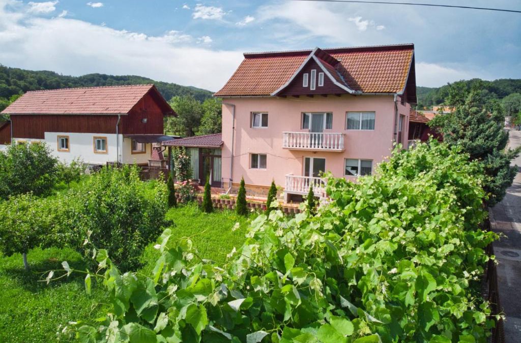 Cicanesti House | Vila Teo
