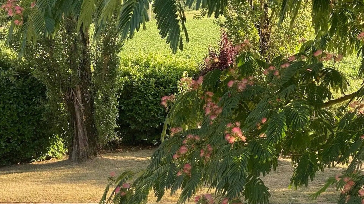 Saint-Hilaire-les-Andresis Villa | Villalima🌟piscine🌟au Calme🌟à la Campagne