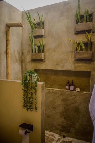 Palomino House | Villa 1 Altomar