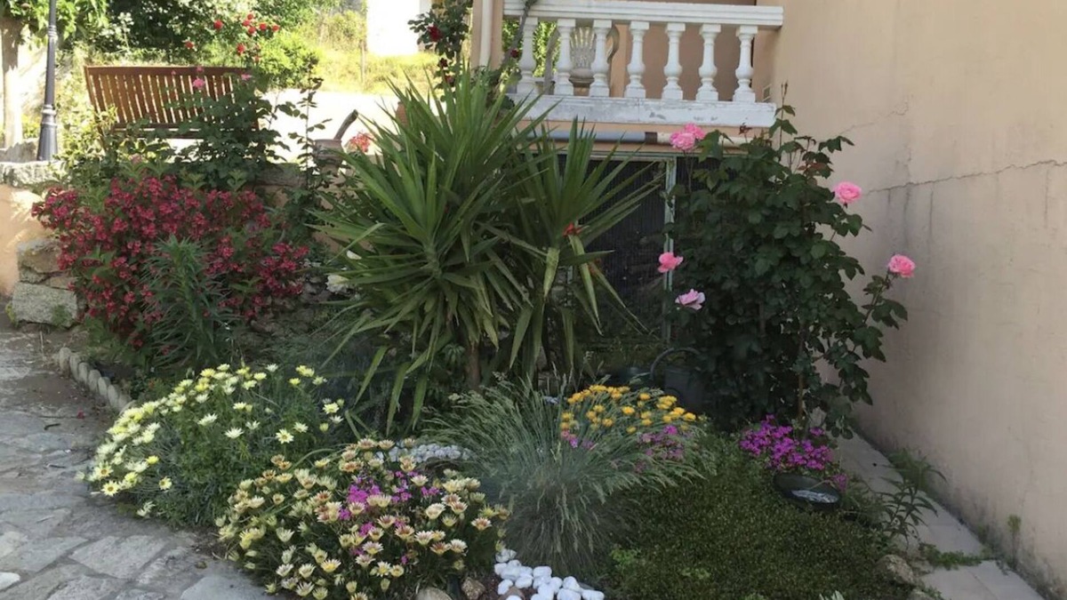 Santa-Maria-Siche House | Villa 6 Personnes à la Campagne à 30 Minutes Dajaccio