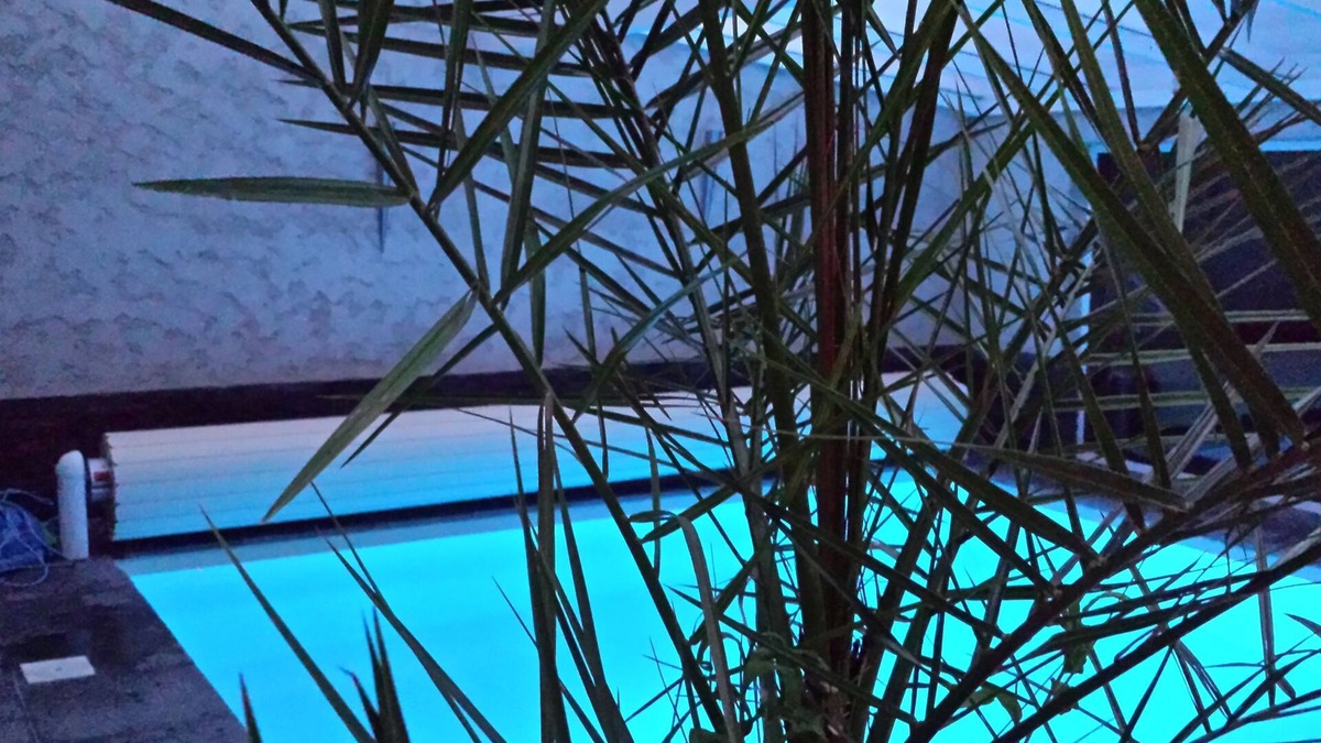 Devant-les-Ponts Villa | Villa Alba