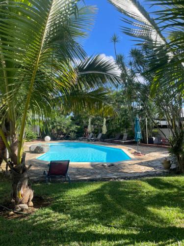 Saint-Pierre Villa | Villa Albizia 974 avec piscine et spa