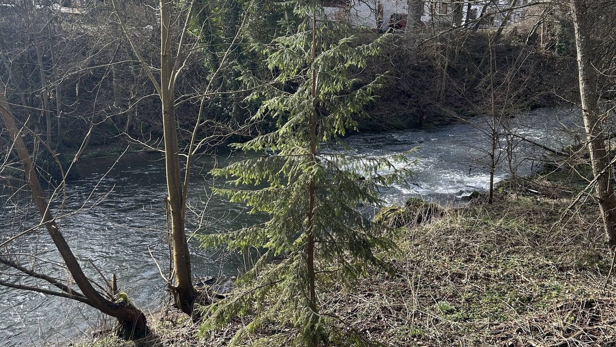 Wurm Villa | Villa am Fluss