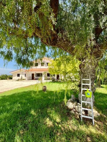 Noto Apartment | Villa Andrea San Lorenzo