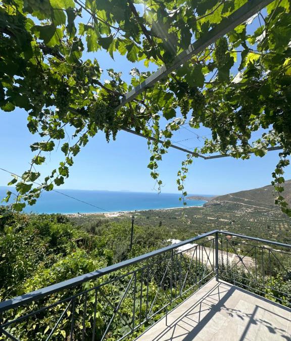 Borsh Apartment | Villa Ani